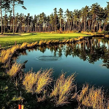 Dania Silkeborg
